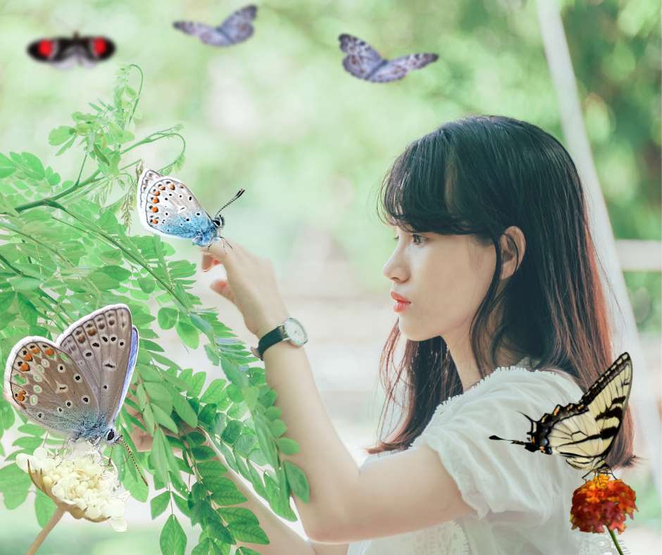Butterflies are easily found in parks with flowers all around the world